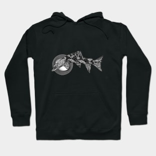 Tiger Trout Hoodie